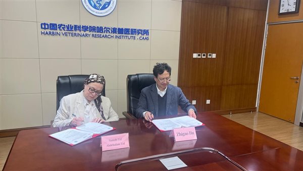 تعاون مصري صيني لتعزيز الابتكار في مجال الصحة الحيوانية ​