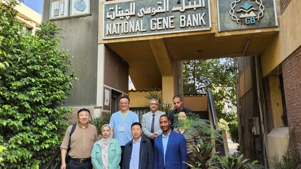 البنك القومي للجينات يستقبل وفد الأكاديمية الوطنية للغابات بالصين لتعزيز التعاون البحثي المشترك