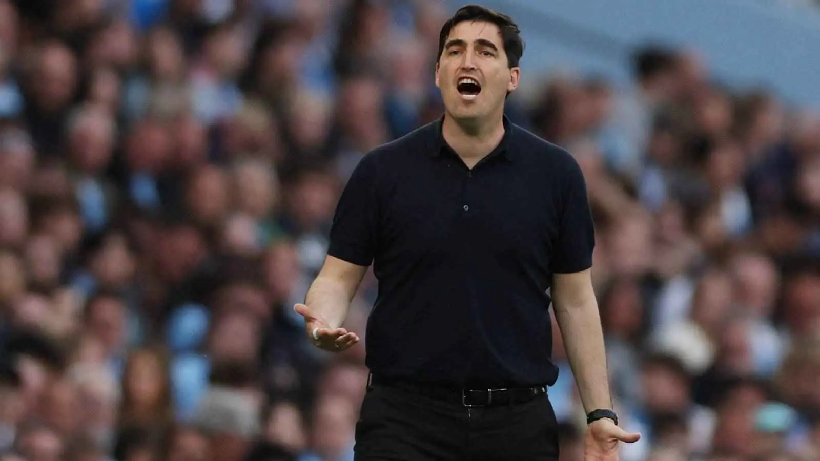 أندوني إيراولا مدرب بورنموث