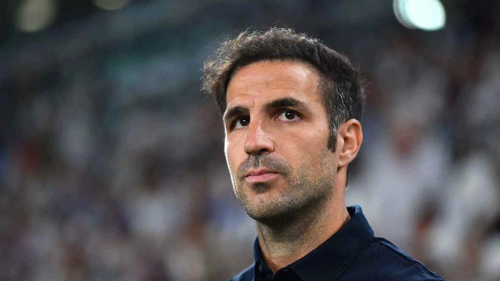 سيسك فابريغاس مدرب كومو الإيطالي