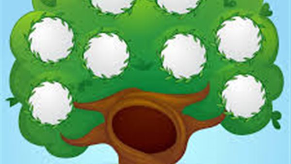 كيف تصل إلى جذور عائلتك؟.. اكتشف نسبك عبر الإنترنت بسهولة