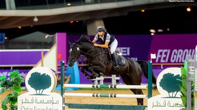 مصر تشارك بـ23 لاعبًا ولاعبة في نهائي المجموعة السابعة للفروسية  بقطر