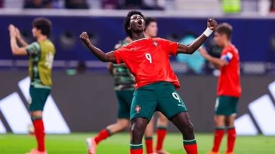 للمرة الأولى تاريخياً: منتخب البرتغال بطلاً لكأس العالم للناشئين تحت 17 عاماً بالفوز على النمسا بهدف نظيف في المباراة النهائية