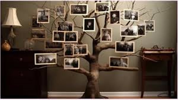 أسهل طريقة لمعرفة أصول العائلة واكتشاف شجرة العائلة في ثوانٍ عبر الإنترنت