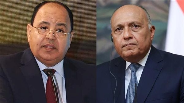 اليابان تمنح سامح شكري ومحمد معيط وسام الشمس المشرقة