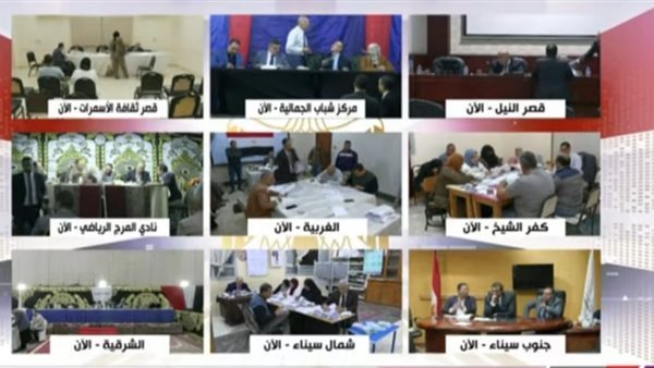 جولة إعادة محتملة بين فايز والسبكي بعد تقدمهم في انتخابات النواب بالباجور