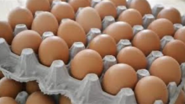 سعر كرتونة البيض اليوم للمستهلك اليوم السبت 22 نوفمبر 2025