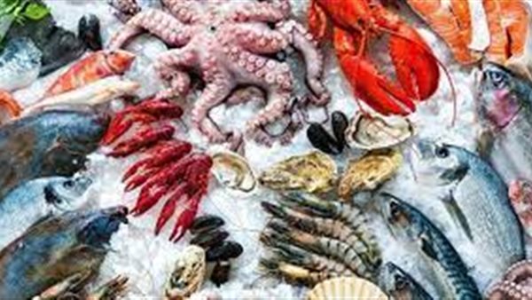 مفاجأة في أسعار السمك اليوم السبت 22 نوفمبر 2025.. القائمة كاملة