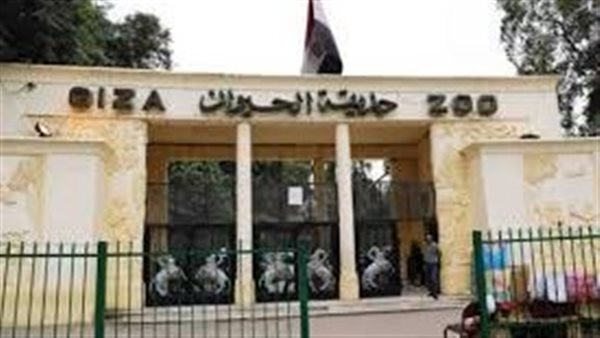 موعد افتتاح حديقة الحيوان بالجيزة.. وتفاصيل خطة التطوير
