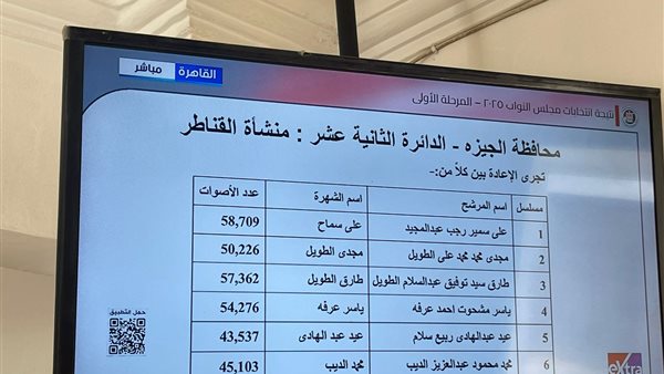 نتائج انتخابات محافظة الجيزة _الدائرة الثانية عشر: منشأة القناطر