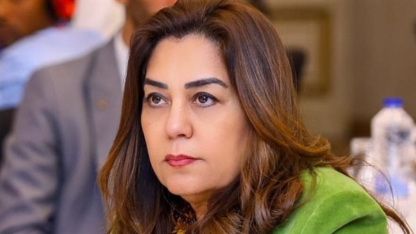 وزيرة التنمية المحلية تبحث مع محافظ شمال سيناء الموقف التنفيذي للمشروعات التنموية والخدمية