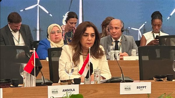 وزيرة التنمية تشارك في حوار المائدة المستديرة حول “التحول في مجال الطاقة”