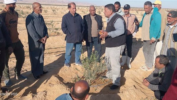 بحوث الصحراء يُكثف جولاته بسيناء ضمن مبادرة اسأل واستشير