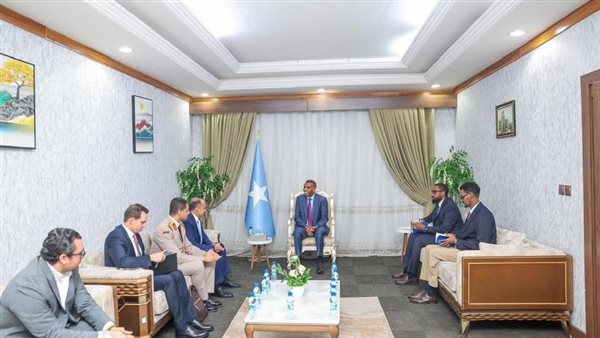 السفير المصري في مقديشيو يلتقي كل من رئيس الوزراء ووزير الدفاع الصومالي
