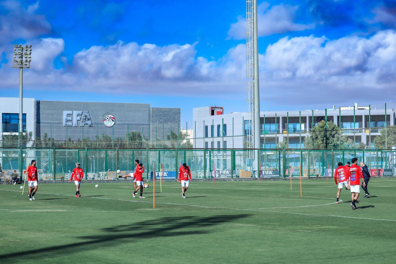 May be an image of soccer, football, grass and text