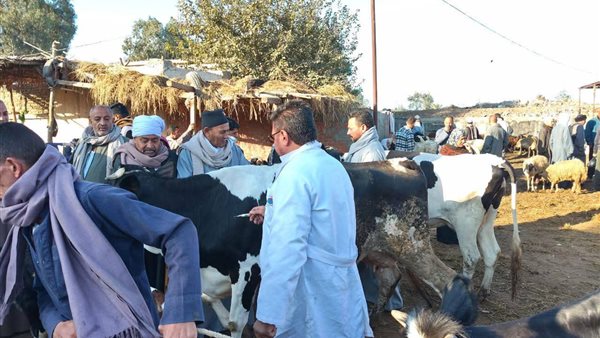 “الزراعة” تعلن تحصين الماشية بأكثر من 8.5 مليون جرعة للقاحي الحمى القلاعية والوادي المتصدع حتى الآن