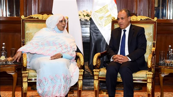 وزير الخارجية يؤكد دعم مصر لمؤسسات الدولة الوطنية السودانية
