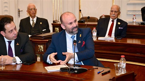 باسم كامل يشارك في اجتماع لجنة الشؤون الخارجية بالشيوخ لمناقشة ملف المصريين بالخارج