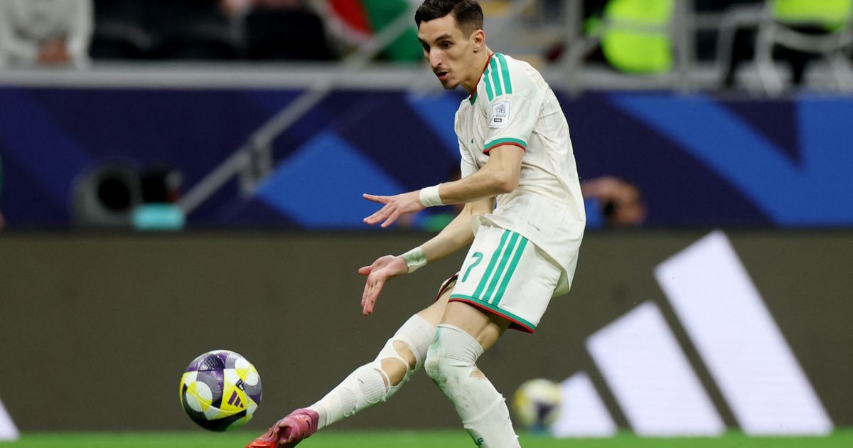 عادل بولبينة ورضوان بركان في قائمة الجزائر بكأس أمم إفريقيا