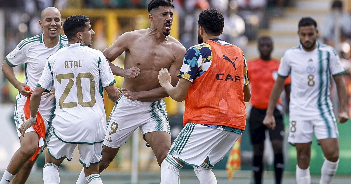 بونجاح: مهمة الجزائر صعبة في أمم إفريقيا.. وبلايلي حاضر معنا