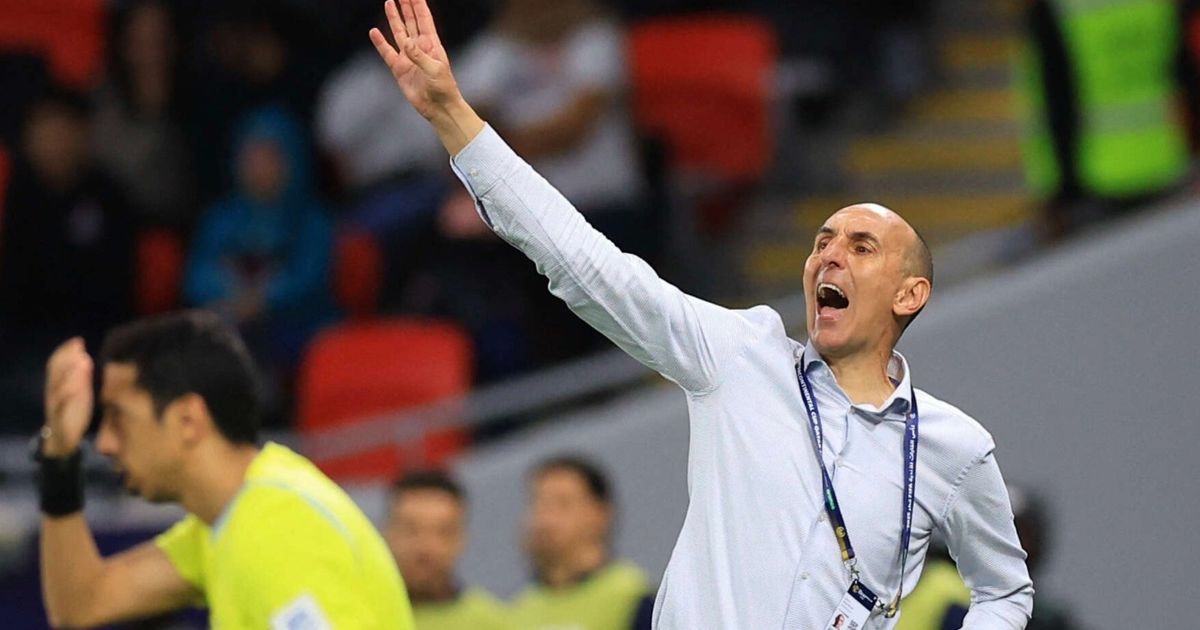 يوريشيتش مدرب بيراميدز: فلامنغو متمرس وخسارتنا طبيعية