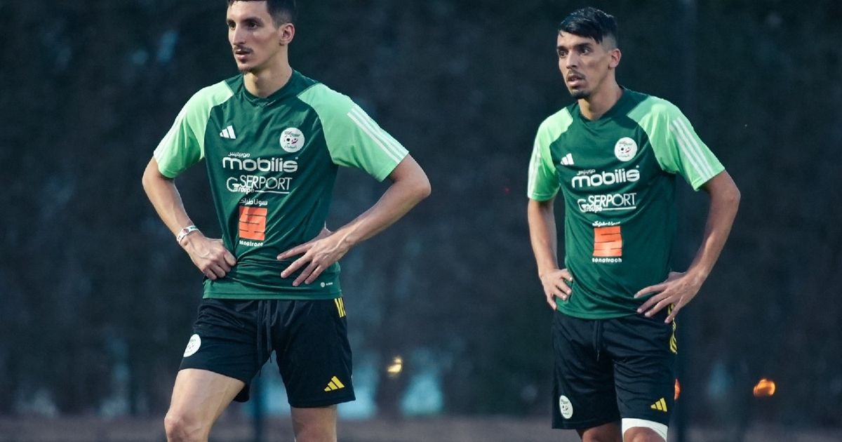 عادل بولبينة: كل المنتخبات تريد الفوز على الجزائر لهذا السبب