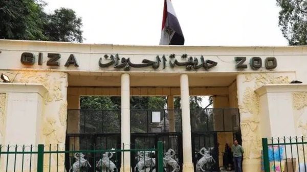 أعمال تطوير حديقتي الحيوان والأورمان تجري بشكل شامل