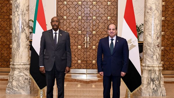 استعداد مصر لبذل كل جهد ممكن لداعم وحدة السودان وسيادته