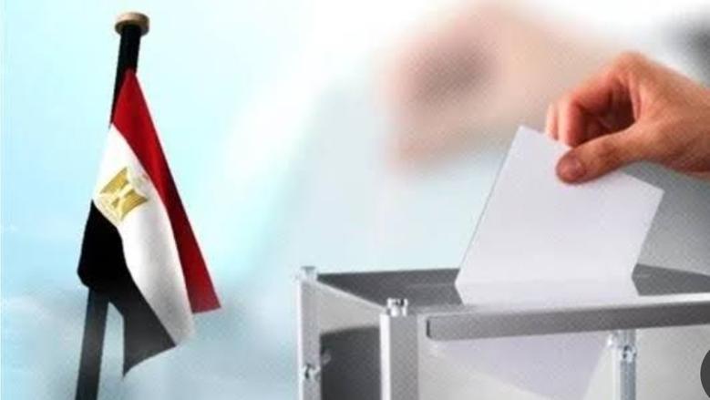 ما هو السن القانوني للتصويت في الانتخابات؟.. الهيئة الوطنية تجيب - الوطن