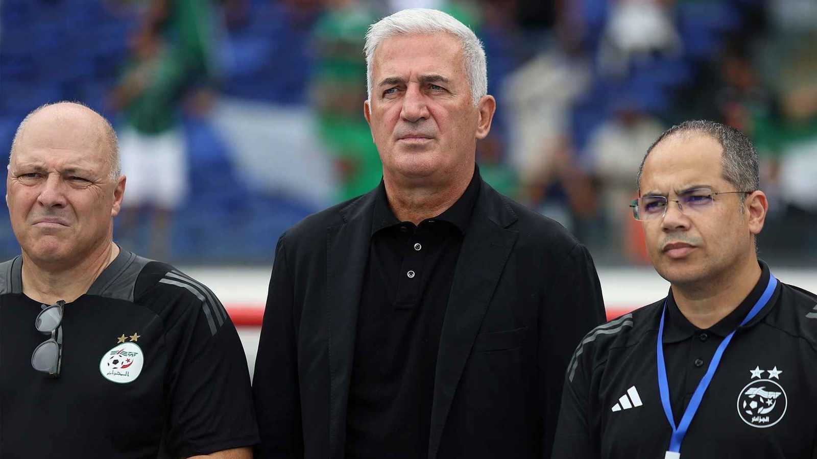 بيتكوفيتش يقدم وعدًا لجماهير الجزائر قبل مواجهة السودان