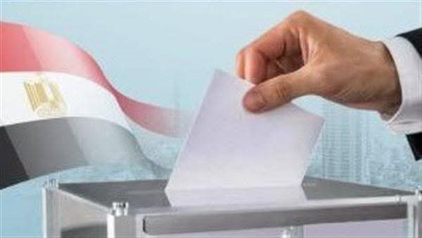 تأمين شامل لمحيط لجان الدوائر الـ30 الملغاة في انتخابات مجلس النواب 2025