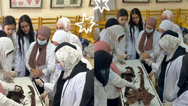 جامعة القاهرة الأهلية تعزز التدريب العملي لطلاب العلاج الطبيعي بمعامل التشريح المتقدمة
