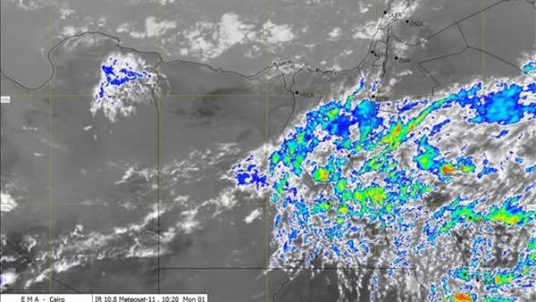 حقيقة توقف الدراسة غدًا في القاهرة والجيزة بسبب الأمطار