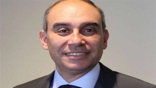 سفير مصر فى باريس يلتقى السكرتير العام لمنظمة التعاون الاقتصادى والتنمية