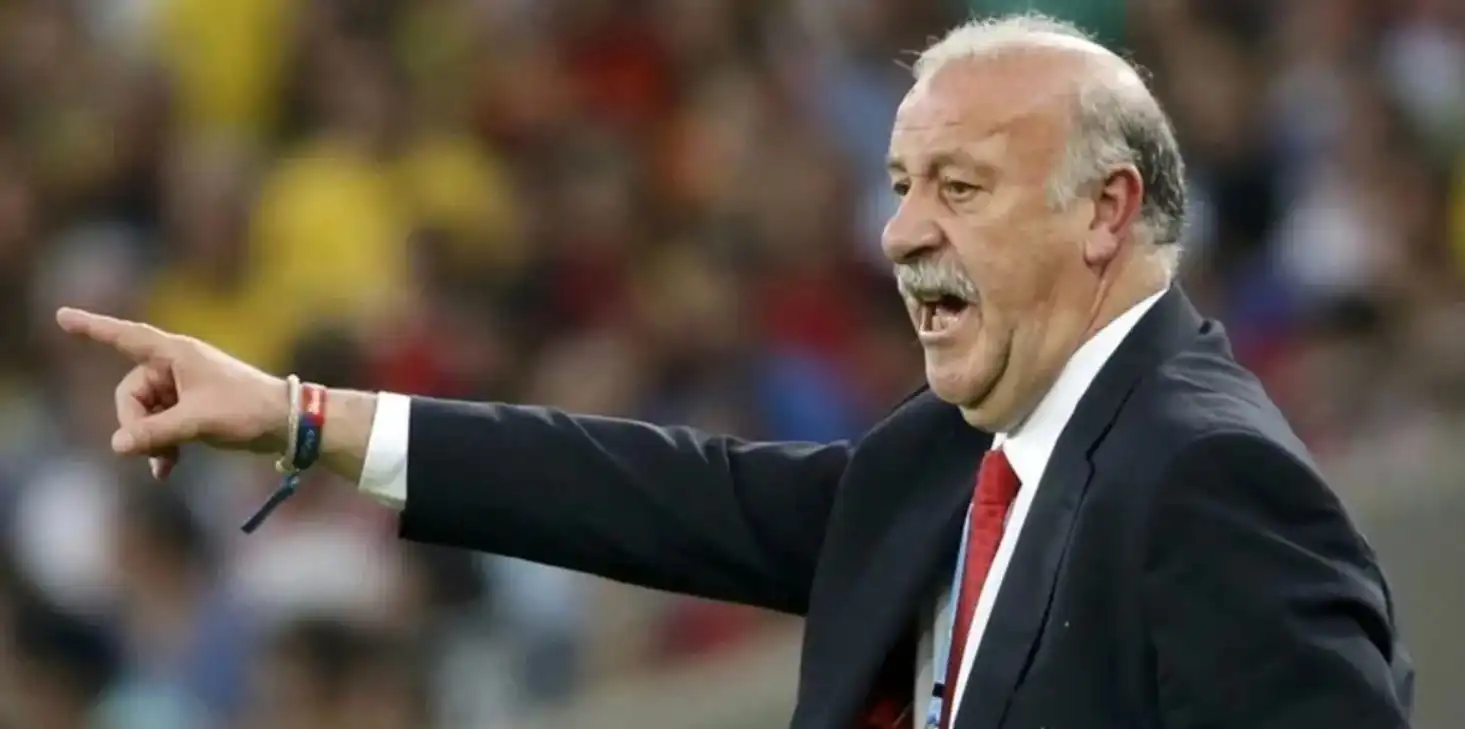 فينسنت ديل بوسكي