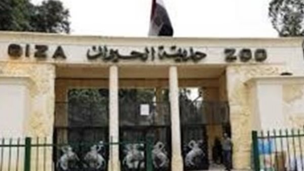 نولي ملف الأشجار القديمة اهتماما كبيراً وجرى ترقيمها