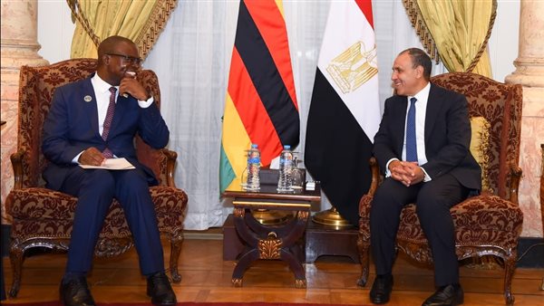 وزير الخارجية يلتقي وزير خارجية زيمبابوي لتعزيز التعاون الثنائي