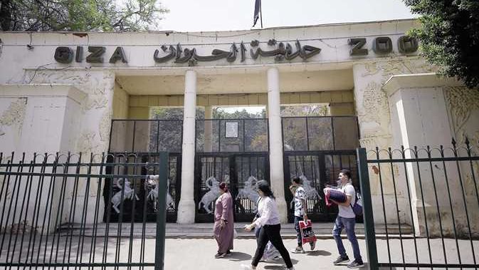 بعد ربطها بالأورمان.. موعد افتتاح حديقة الحيوان بالجيزة رسميًا