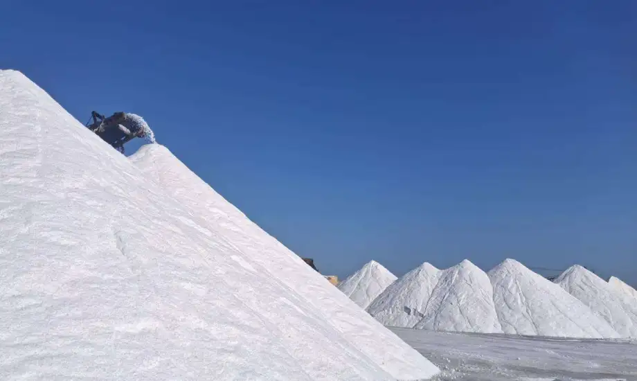 بـ 47 ألف طن.. تصدير أكبر شحنة ملح في تاريخ مصر