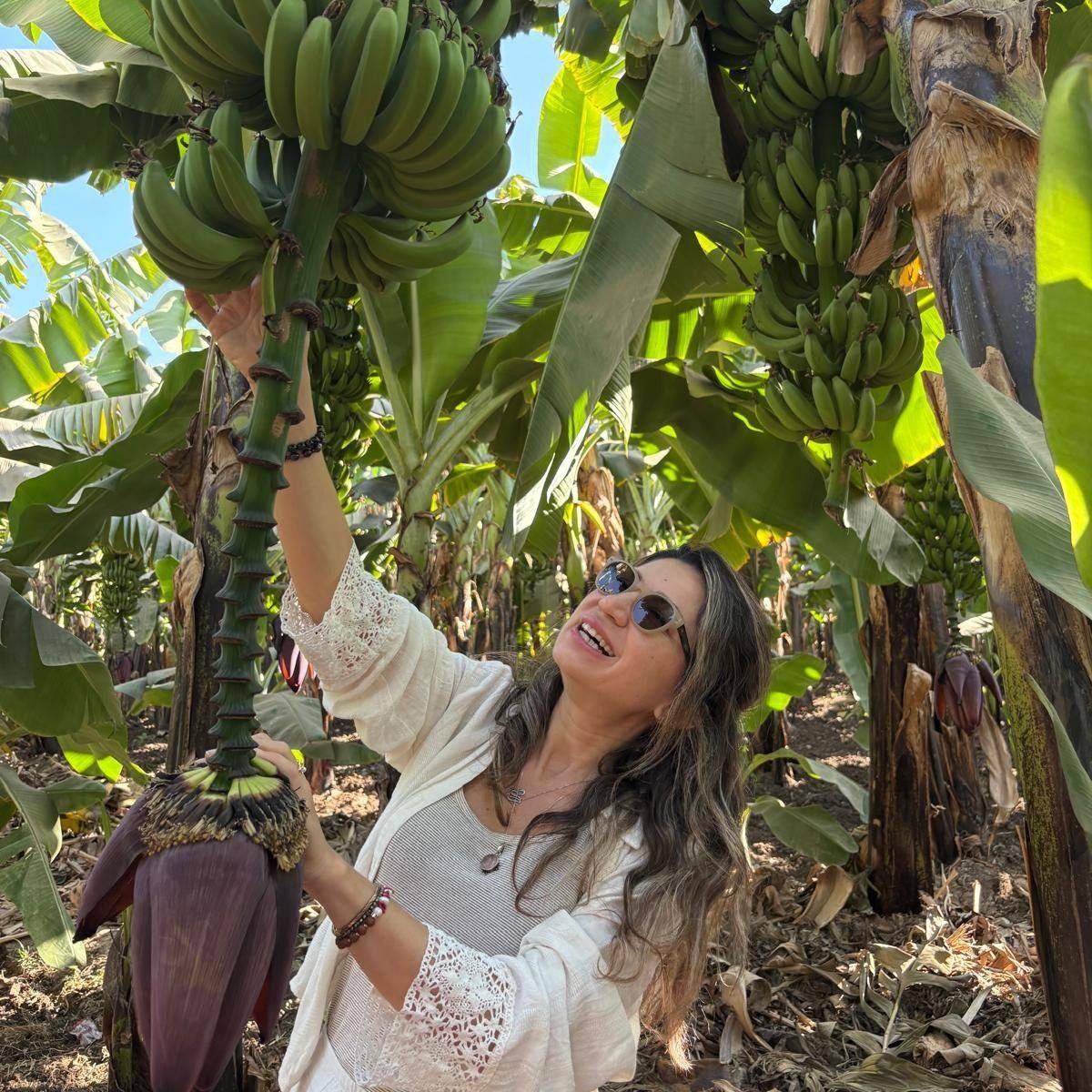 بهجة أجنبية داخل جزيرة الموز غرب الأقصر