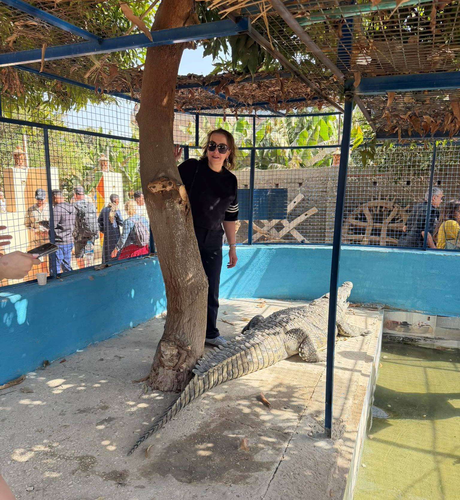 استمتاع أجنبية مع التماسيح فى قلب جزيرة الموز