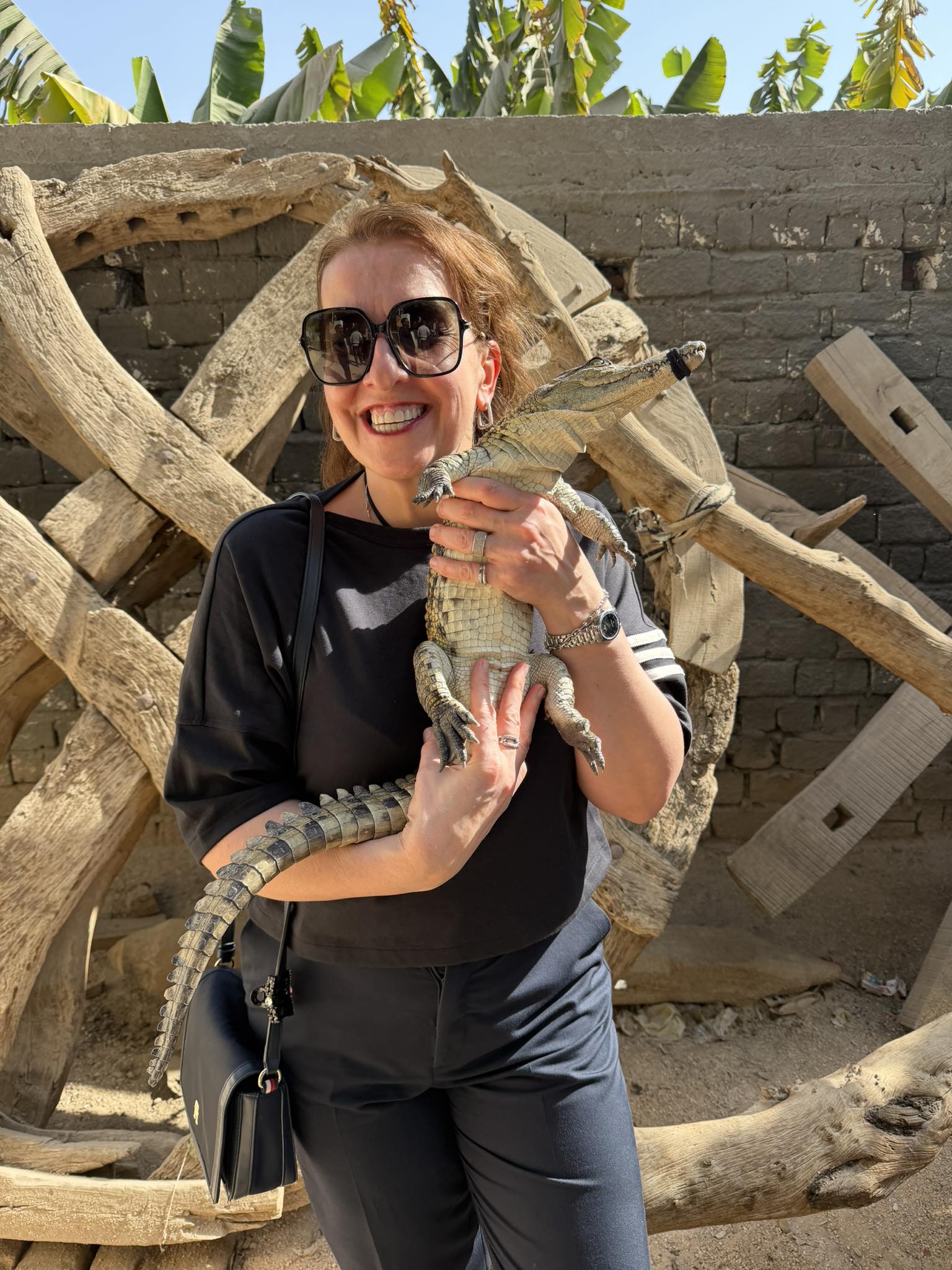 متعة الأجانب مع التماسيح الصغيرة بجزيرة الموز