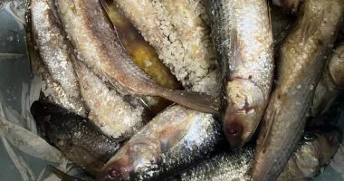 إقبال كبير على شراء الأسماك المملحة والدقهلية تتصدر المشهد قبل أعياد شم النسيم