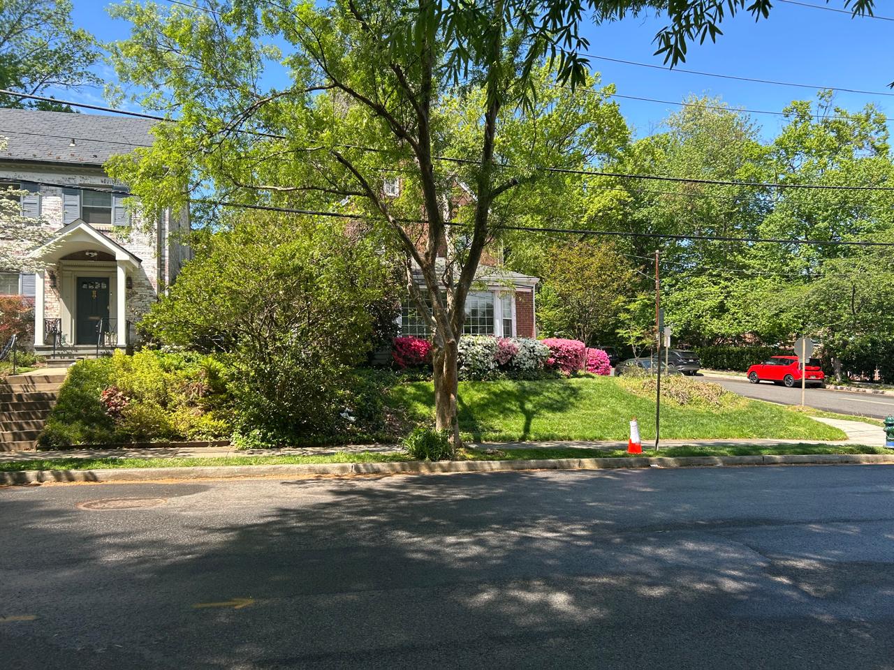 أشجار الكرز في واشنطن