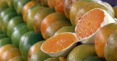 8 فوائد سحرية للحمضيات تعزز صحتك وتقوي مناعتك