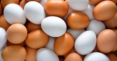 أسعار البيض في مصر اليوم تخالف التوقعات وتستقر بمناسبة أعياد شم النسيم