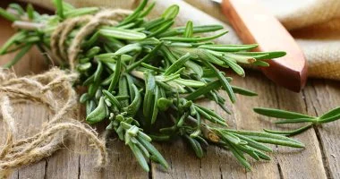 إكليل الجبل: عشبة مطبخية تعزز الذاكرة وتقلل القلق وتقي من الزهايمر