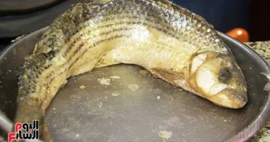 استقرار أسعار الأسماك في الأسواق مع زيادة المعروض قبل موسم شم النسيم وبداية الأعياد