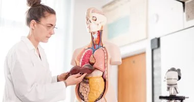 اكتشاف علمي لعلاج الكبد الدهني يبشر بملايين المرضى بآفاق جديدة