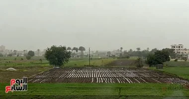 الأرصاد تحذر من استمرار الأتربة بالقاهرة والمحافظات وتعلن موعد تحسن حالة الطقس اليوم